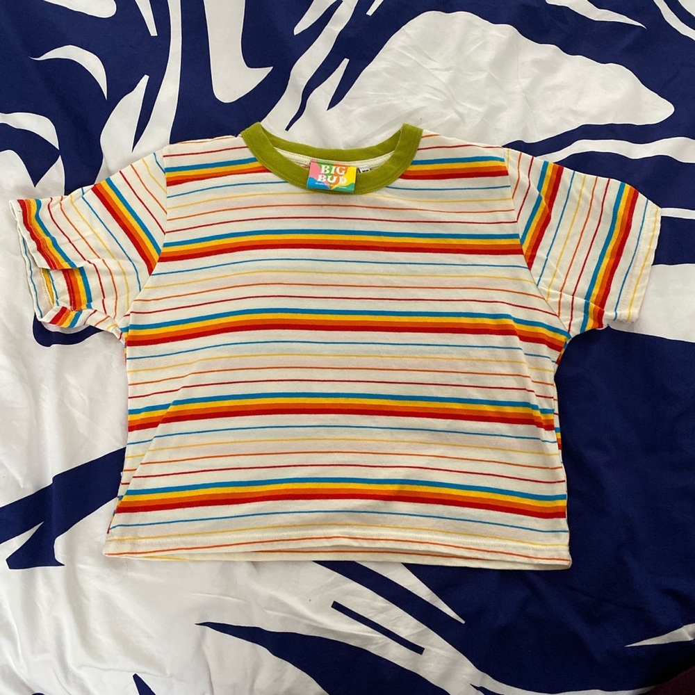 Big Bud Press Cropped Stripe Tee in Rainbow Summer
